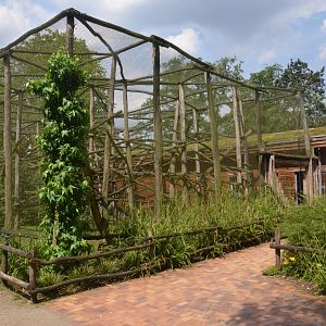 New Lemur Complex at Rheine, 18/06/19