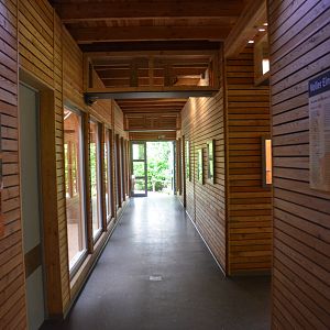 New Lemur Complex at Rheine, 18/06/19