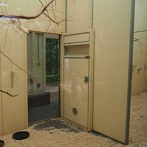 Indoor housing Australian birds, 2019-07-21