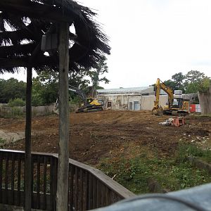 Hippo Haven Construction 8-14-2019