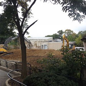 Hippo Haven Construction