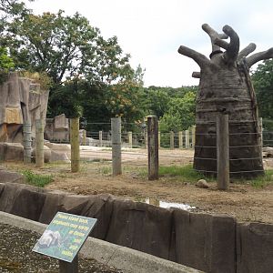 Former Elephant exhibit New Fence for Hippos