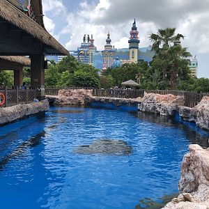 Indo-Pacific Humpback Dolphin Exhibit