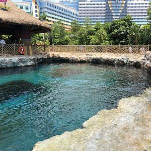Indo-Pacific Humpback Dolphin Exhibit