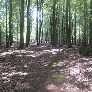 Vejle Dyrehave - General view