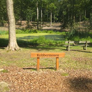 Vejle Dyrehave - General view