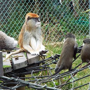 An unlikely grouping