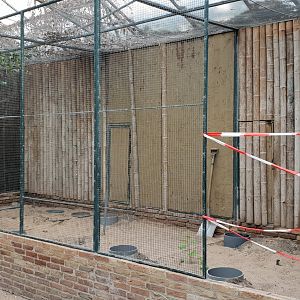Aviary in the Tropical Hall - under consrruction