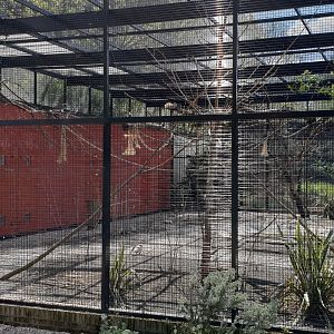 Galah aviary