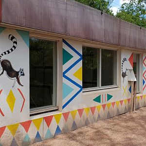 Indoor Lemur enclosures