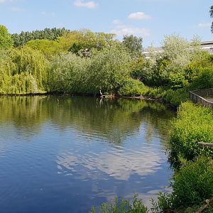Part Waterfowl walk-through