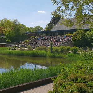 Viewing-area Bird-show