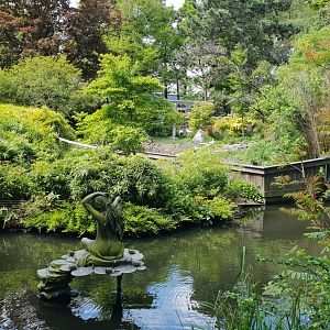 Red panda - Crane - Waterfowl enclosure