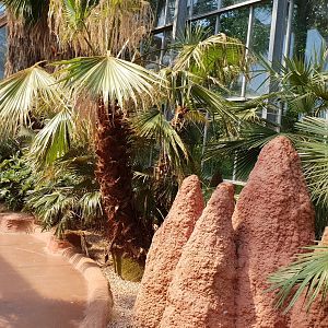 Lorikeet walk-through