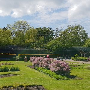 Bird of prey aviaries