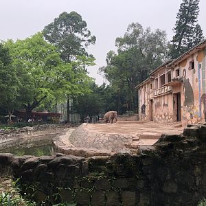 Asian Elephant Exhibit