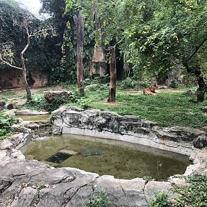 South China Tiger Exhibit