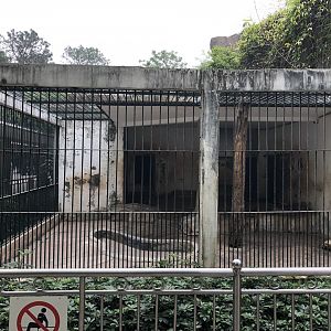 South China Tiger Cage
