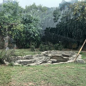 South China Tiger Exhibit