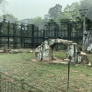 South China Tiger Exhibit