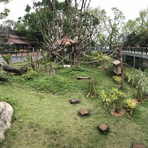 Ring Tailed Lemur Exhibit