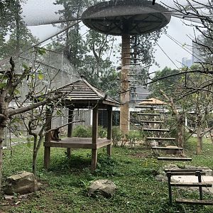 Golden Snub-Nosed Monkey Exhibit