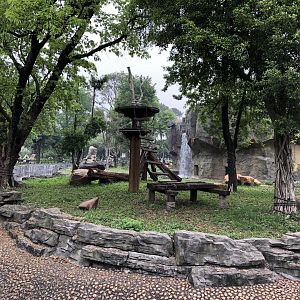 Chimpanzee Exhibit #1