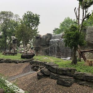 Chimpanzee Exhibit #1