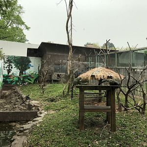 DeBrazza’s Monkey Exhibit