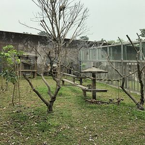 Vervet Monkey Exhibit