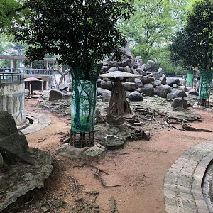 Rhesus Macaque Exhibit