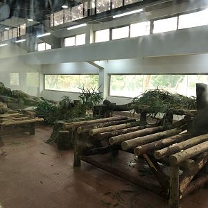 Giant Panda Indoor Exhibit #1