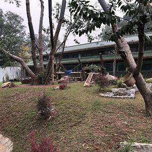 Giant Panda Outdoor Exhibit #1
