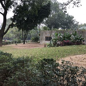 Red Kangaroo Exhibit