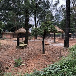 Blackbuck & Hainan Eld’s Deer Exhibit