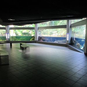 Aquarium - First Floor