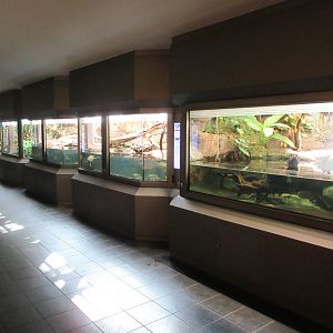 Reptile Exhibits - modernized in 2016