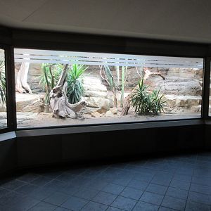 Reptile Exhibits - modernized in 2016