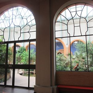 Antelope/Giraffe House