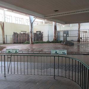 Asian Elephant Exhibit - Barn