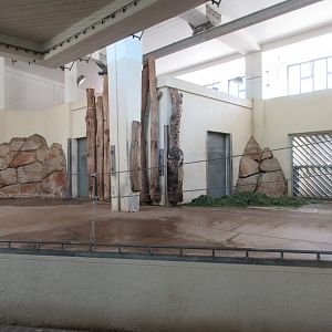 Asian Elephant Exhibit - Barn