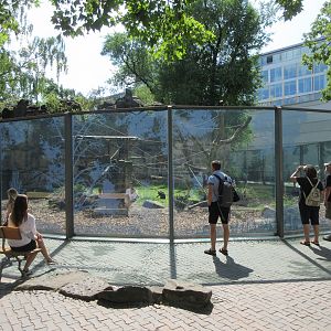 Lion-tailed Macaque Exhibit