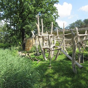 Lowland Gorilla Exhibit (50% shown)