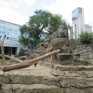 Hamadryas Baboon Exhibit