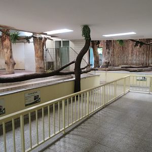 Rhino/Tapir House - indoor quarters