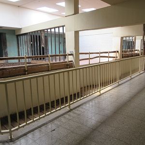 Rhino/Tapir House - indoor quarters