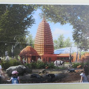 Rhino House - opening in 2021?