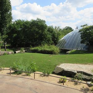 Common Hippo/Nyala Exhibit
