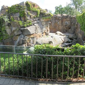 Bear Exhibit - empty?