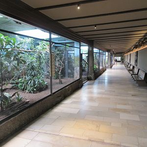 Pheasantry - row of aviaries